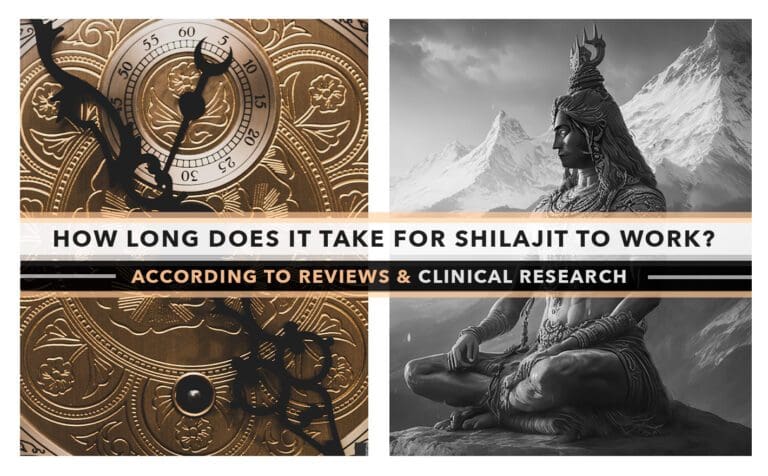 How Long Does It Take For Shilajit To Work?